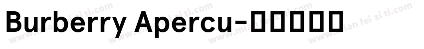 Burberry Apercu字体转换